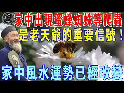 蜂窩風水|【蜂窩風水】家有蜂窩風水吉凶解密：黃蜂入宅，招財。